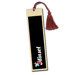 Ainsel Product Logo Design