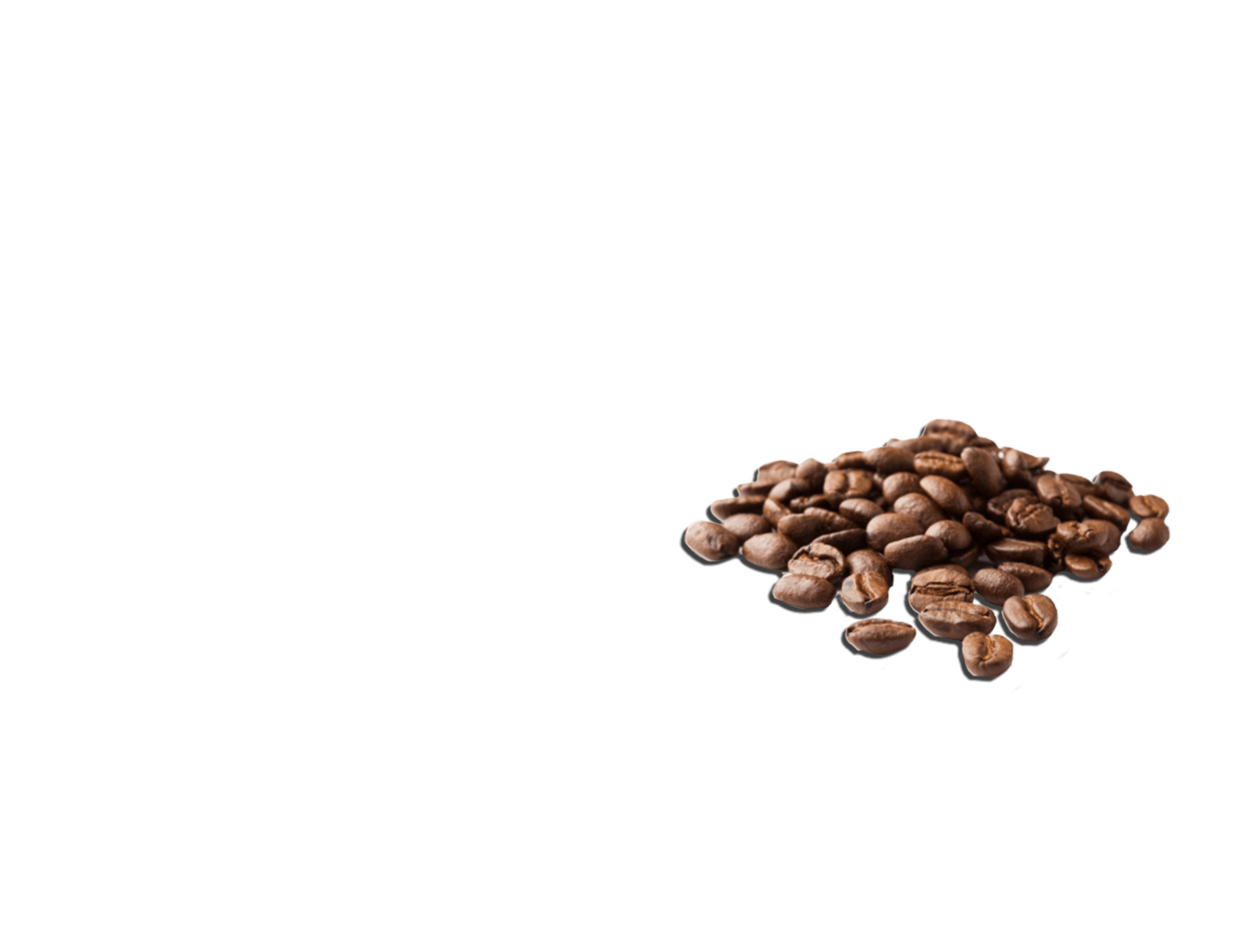 Cafe Bistro Product Logo Design