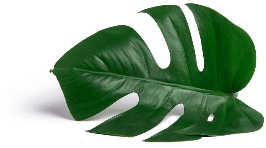 Eternis Product Logo Design